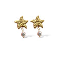 Golden Sea Star