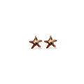 Estrellita marina pan de oro dorado